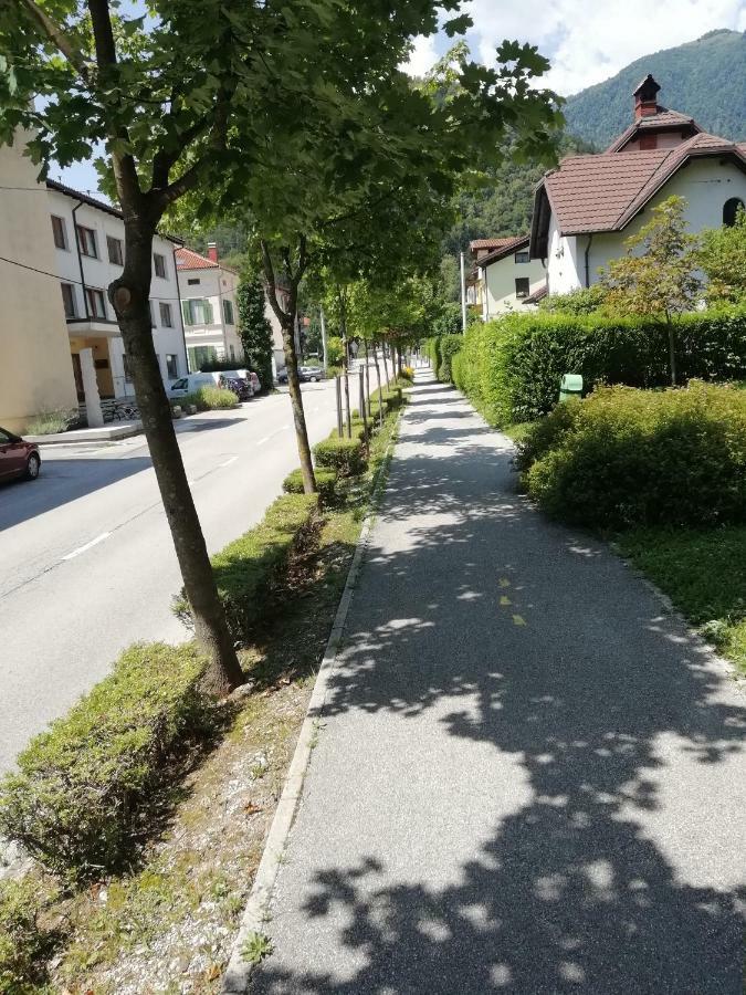 Naturalina Tolmin Luaran gambar